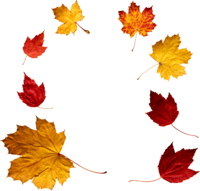 Crown Of Autumn Leaves SVG Clip arts