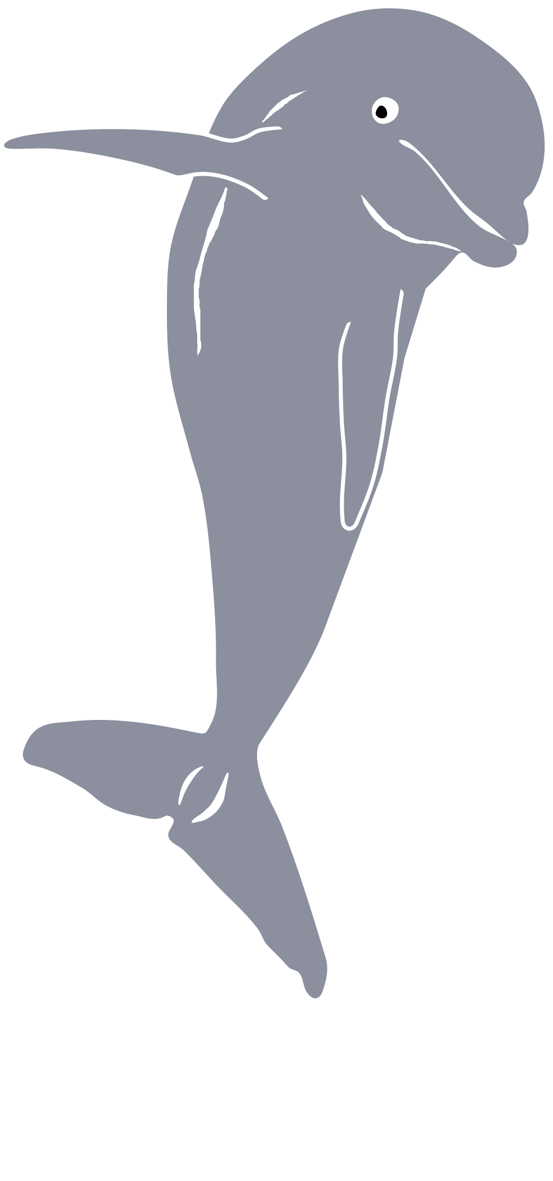 Dolphin Jumping, Front PNG icon