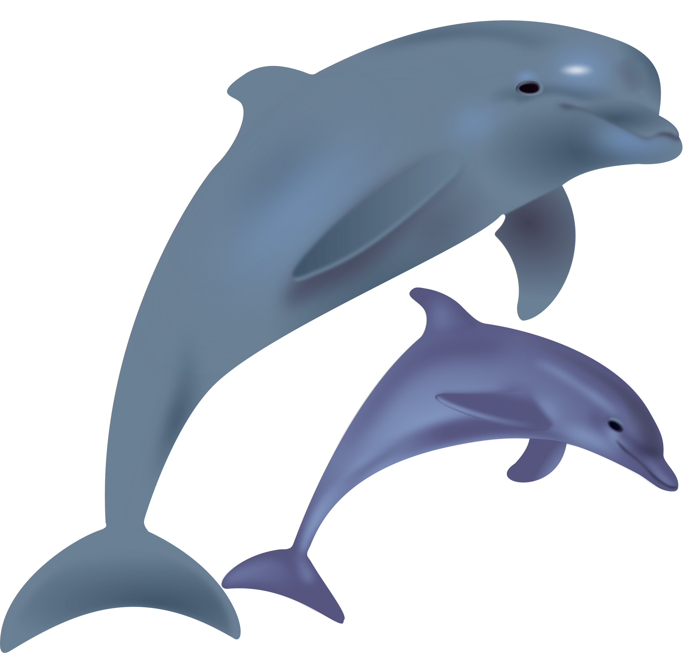 dolphins, delfinai, animals Clip arts
