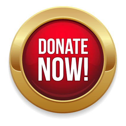 Donate Now Gold and Red Button PNG icon