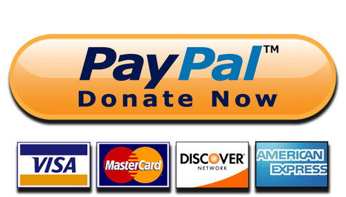 Donate Now Paypal and Cards Button SVG file