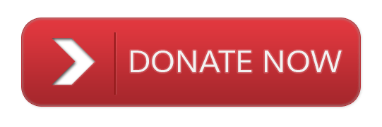 Donate Now Red Button PNG images