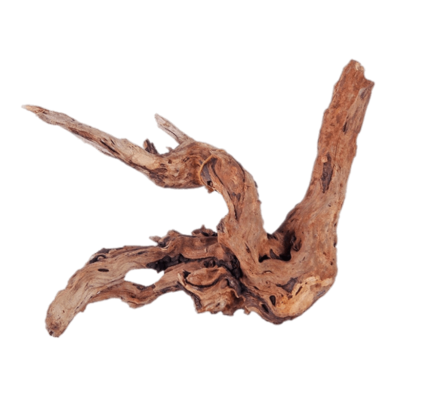 Driftwood PNG images
