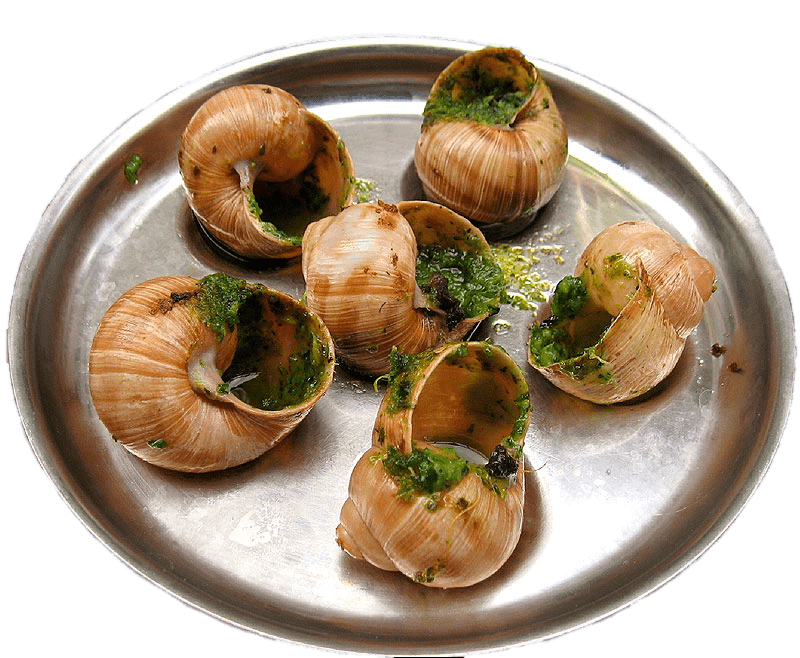 Escargots In Garlic Butter Clip arts