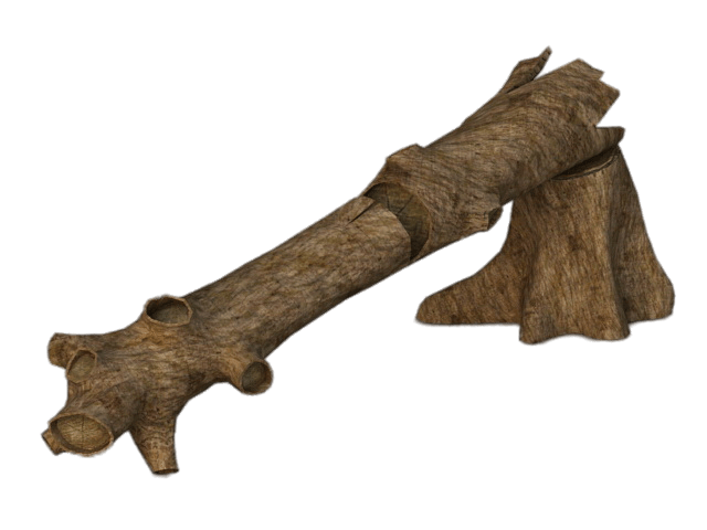 Fallen Tree Trunk PNG images