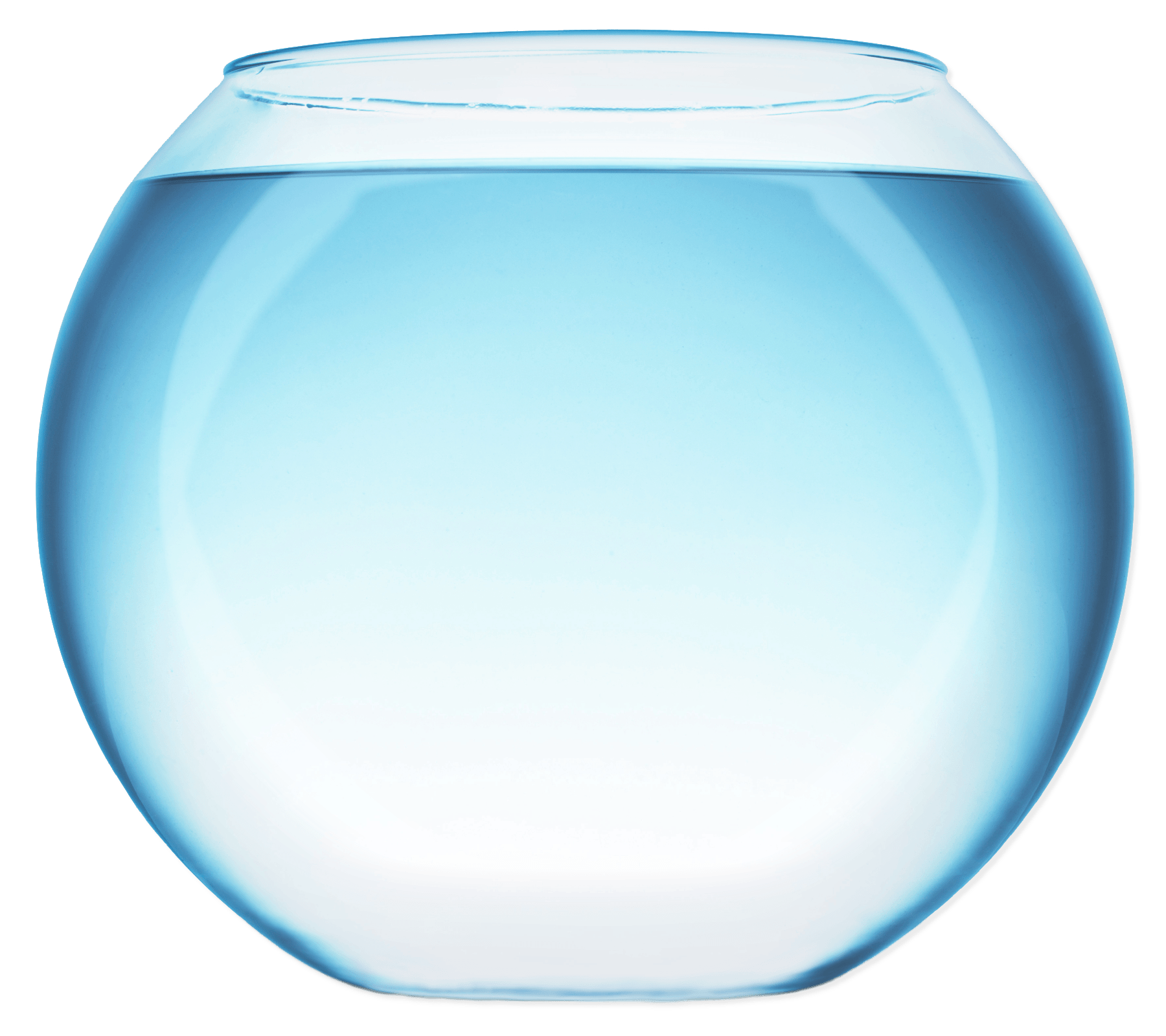 Fish Bowl With Water Clip arts