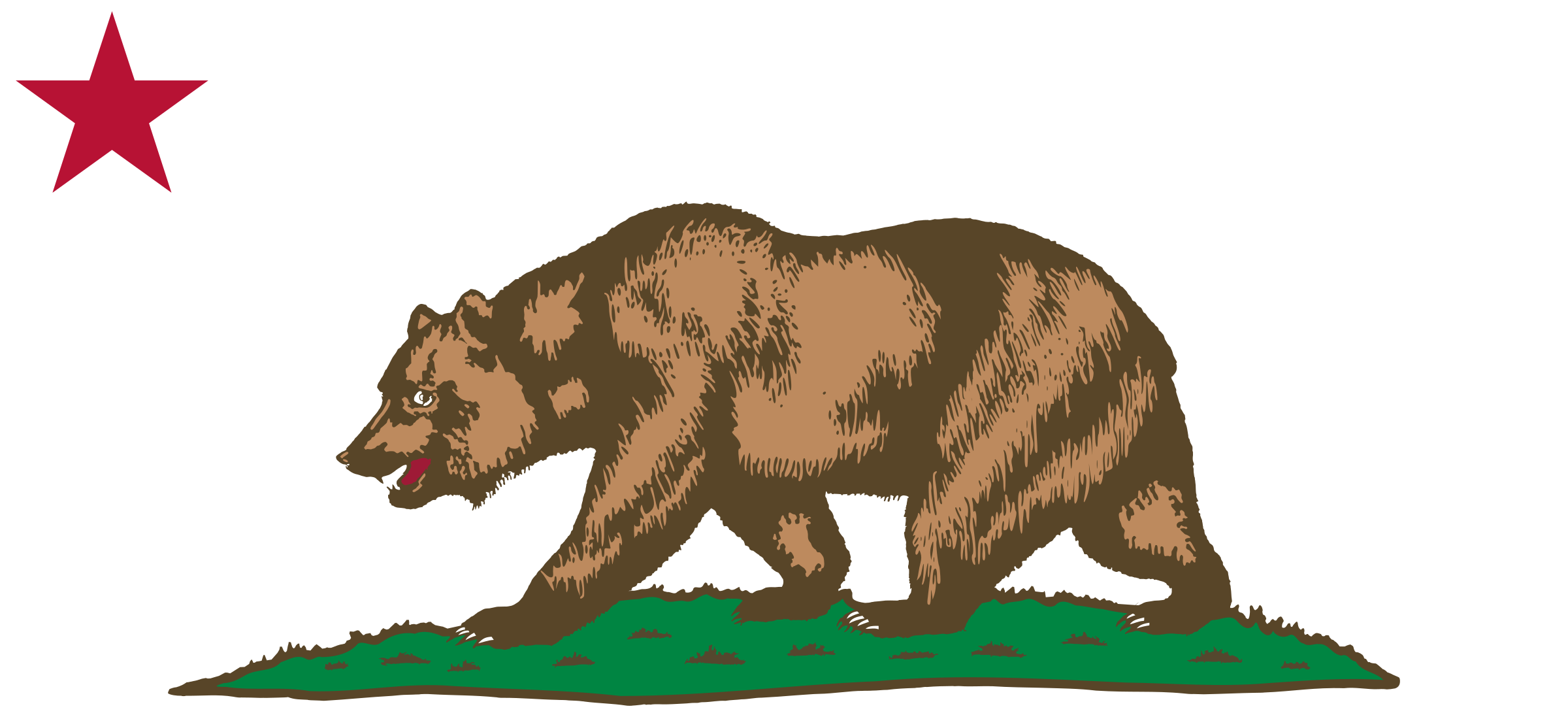 Flag of California - Bear, Plot and Star  PNG icon