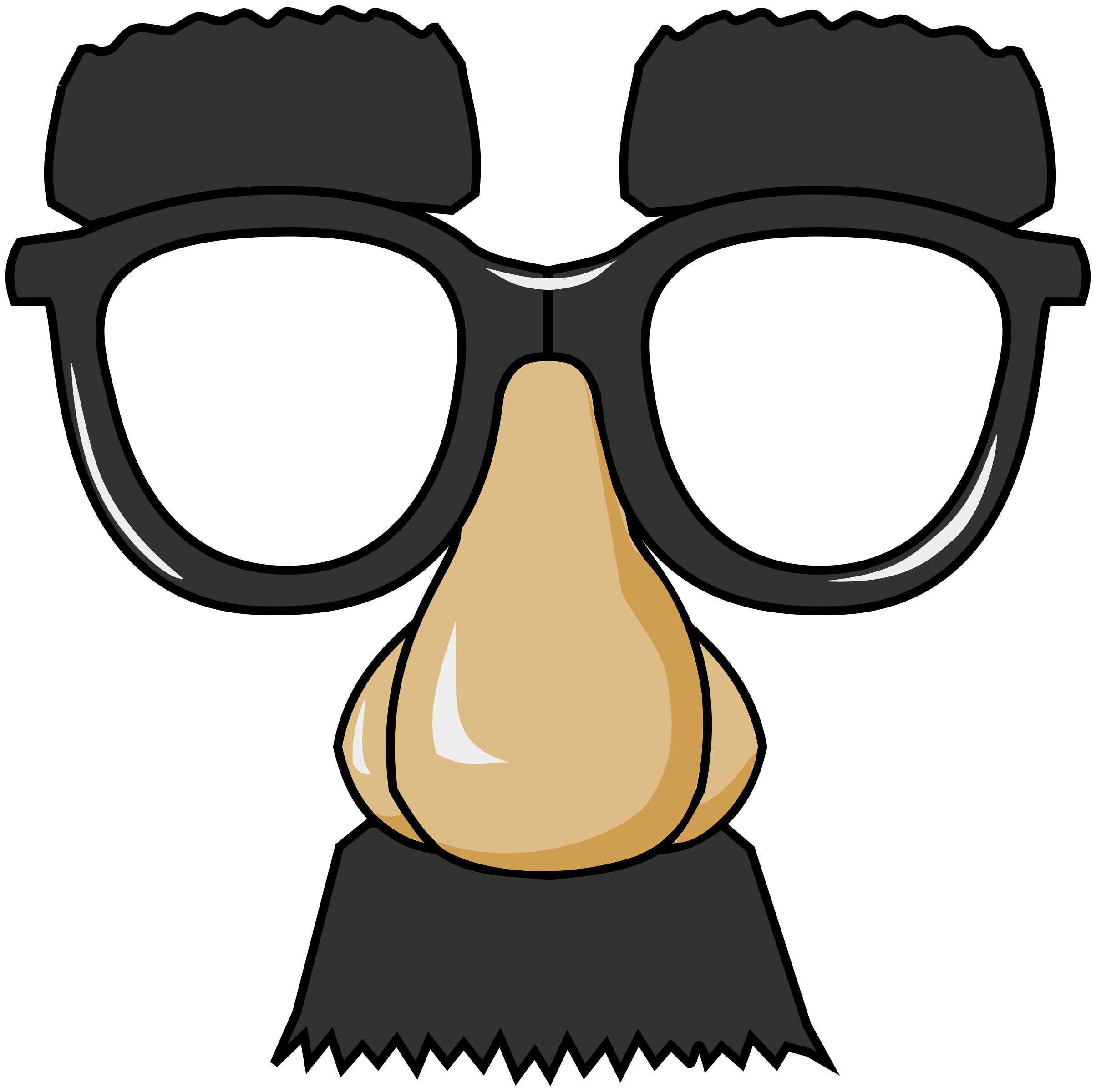 Funny Glasses PNG icon