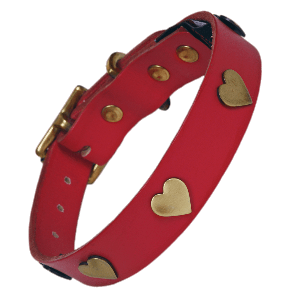 Golden Hearts Dog Collar PNG images