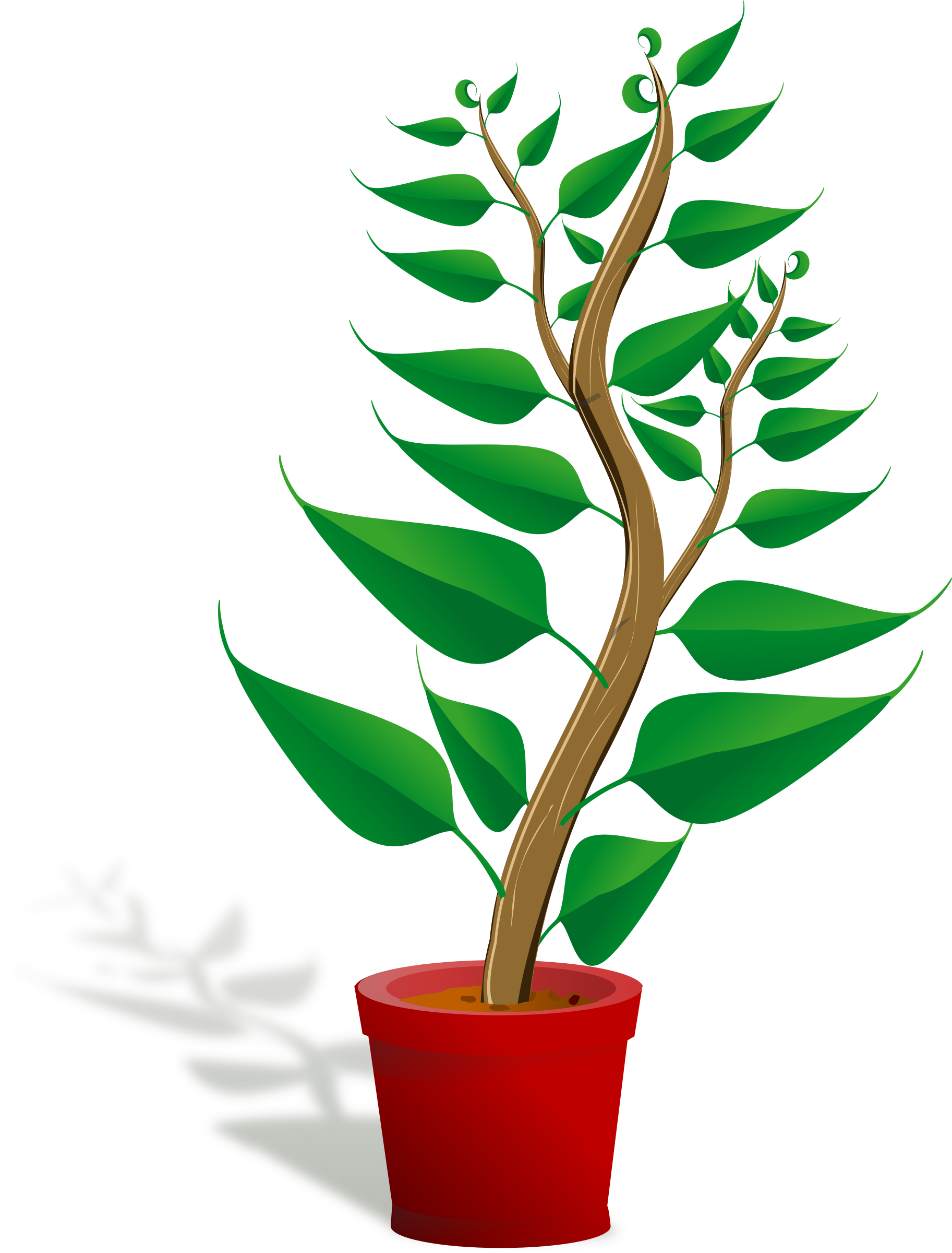 Green tall plant in its pot PNG icon