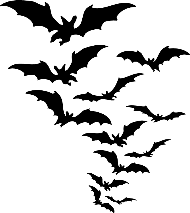 Group Of Bats Clipart PNG images