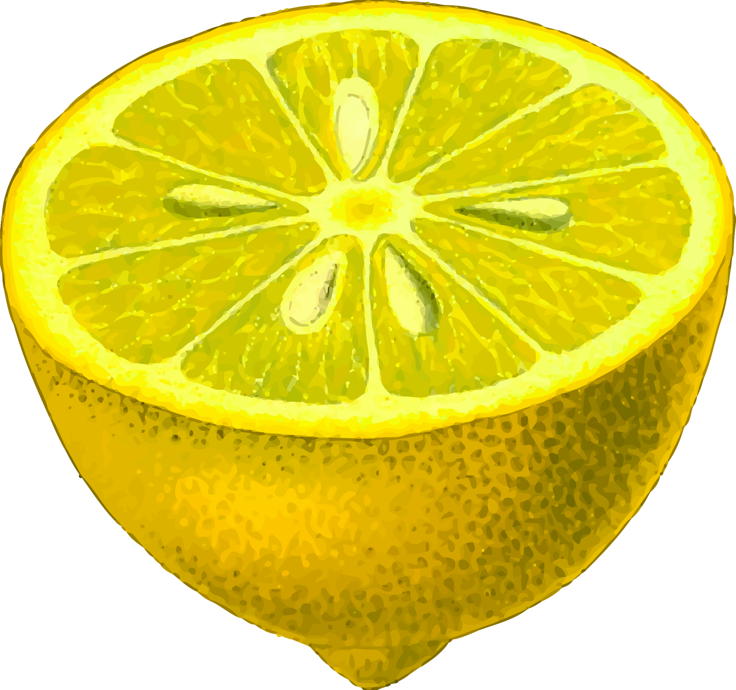 Half-lemon (detailed) Clip arts