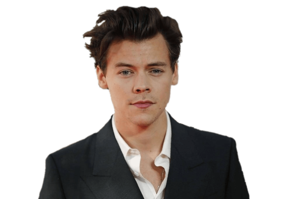Harry Styles PNG icon