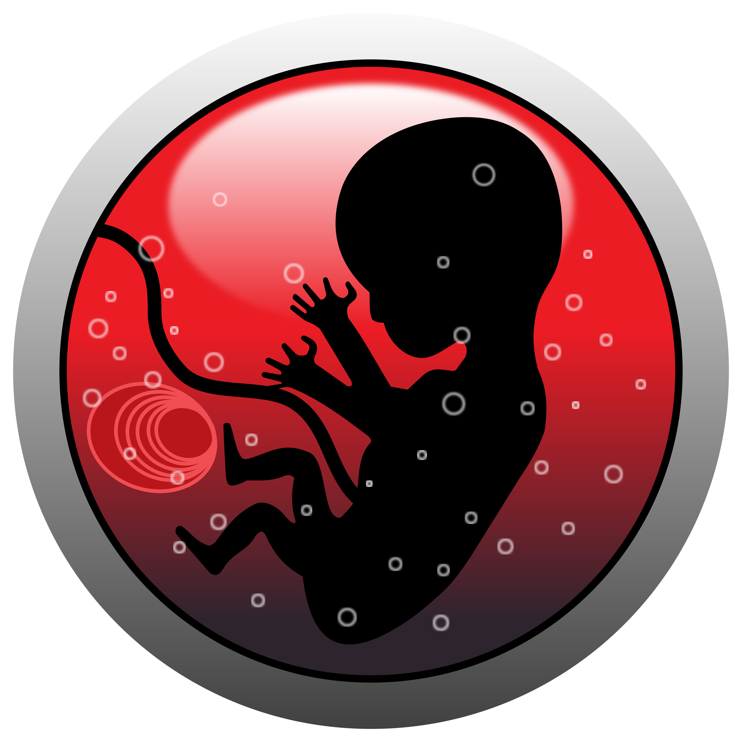 Human embryo (silhouette) SVG Clip arts