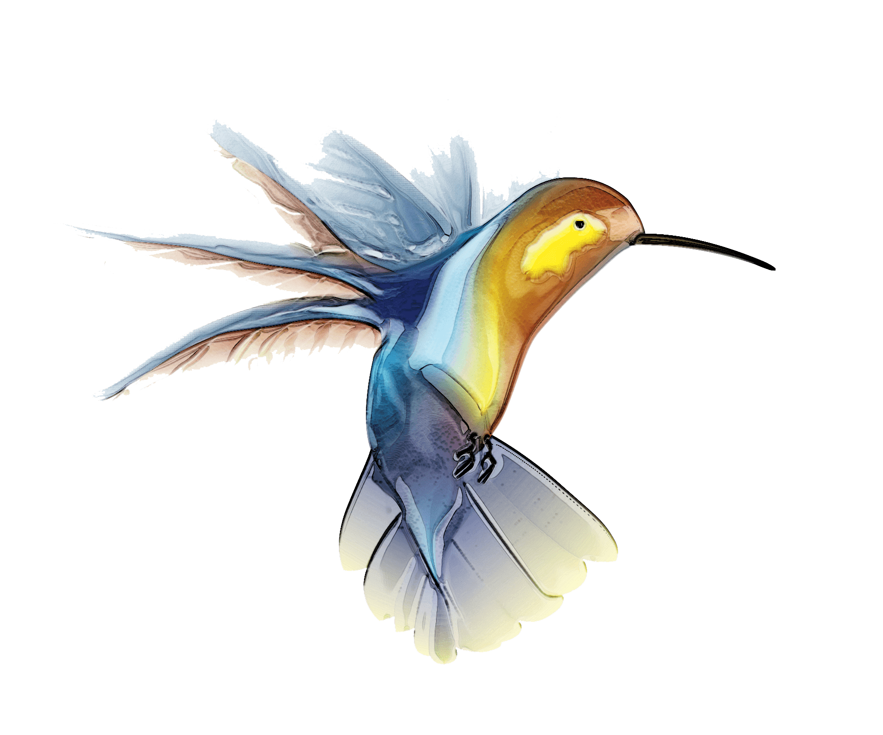 Hummingbird Tattoo PNG images