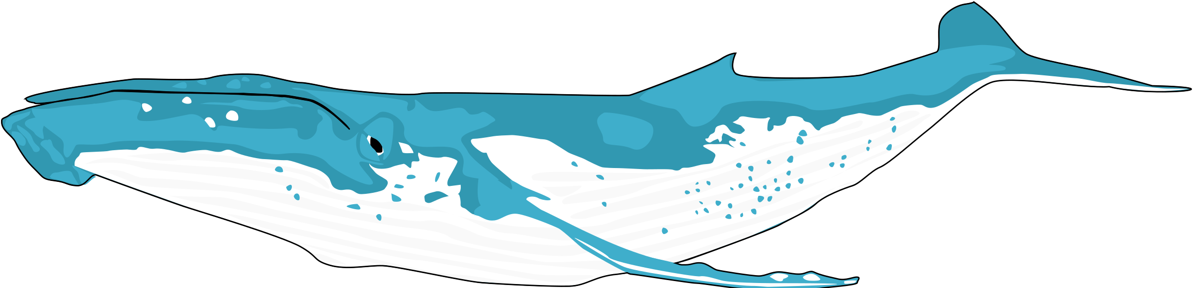 humpback whale PNG icon