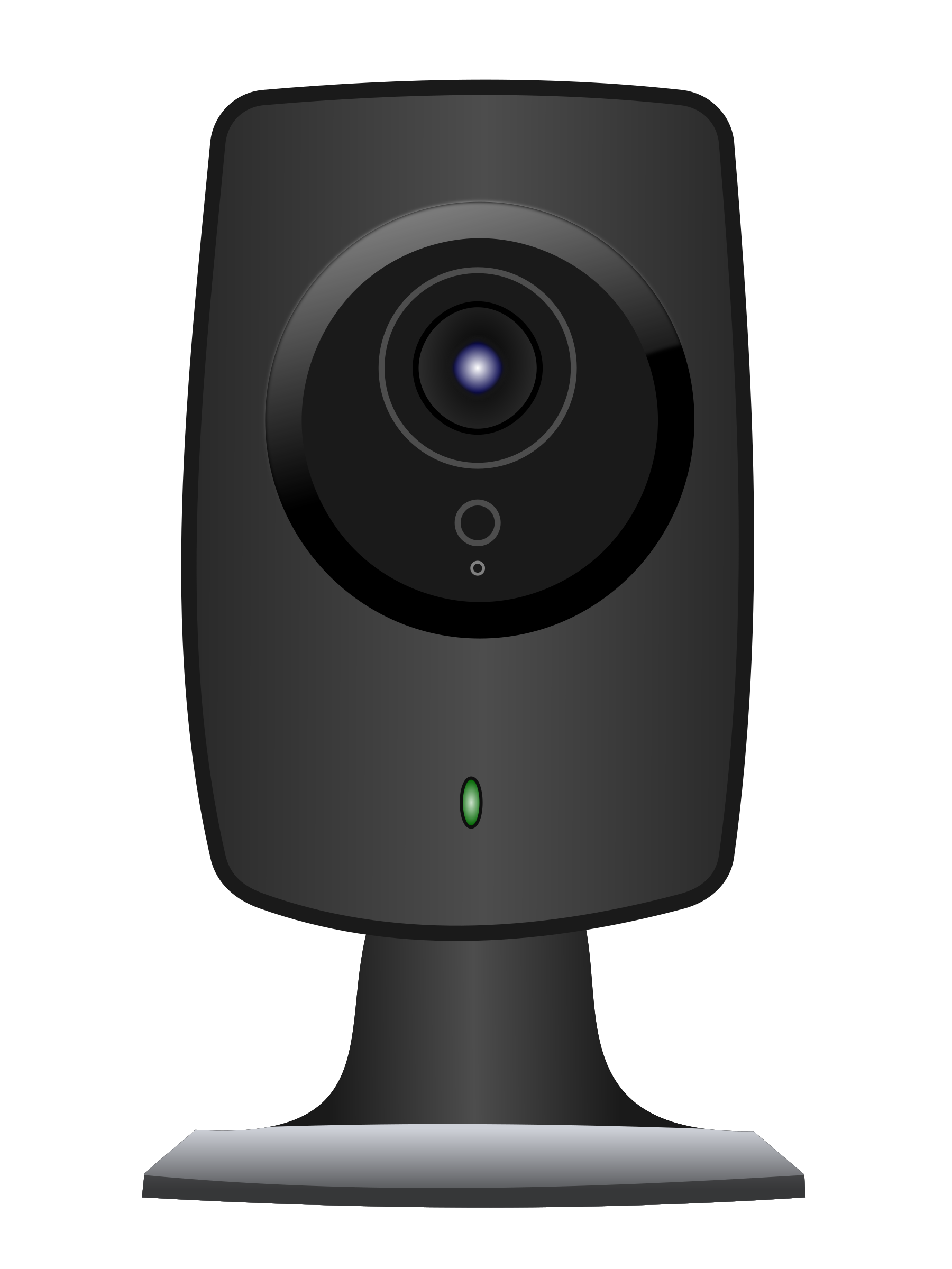 Webcam tramp poses on web camera