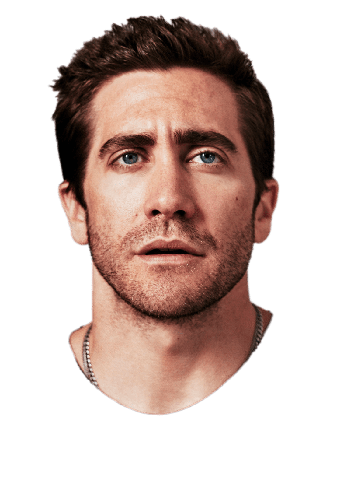 Jake Gyllenhaal Looking Up Clip arts