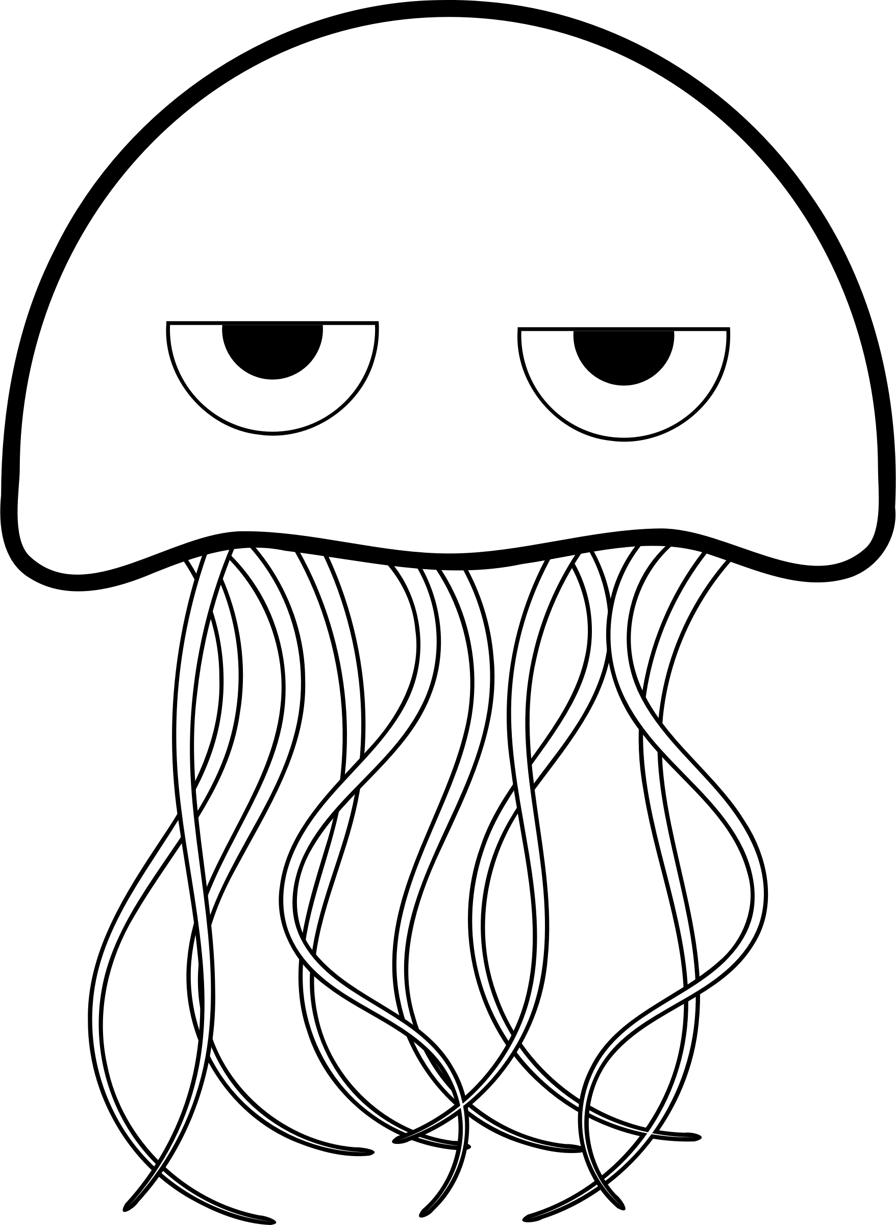 Jellyfish   Coloring Book Icons PNG   Free PNG and Icons Downloads