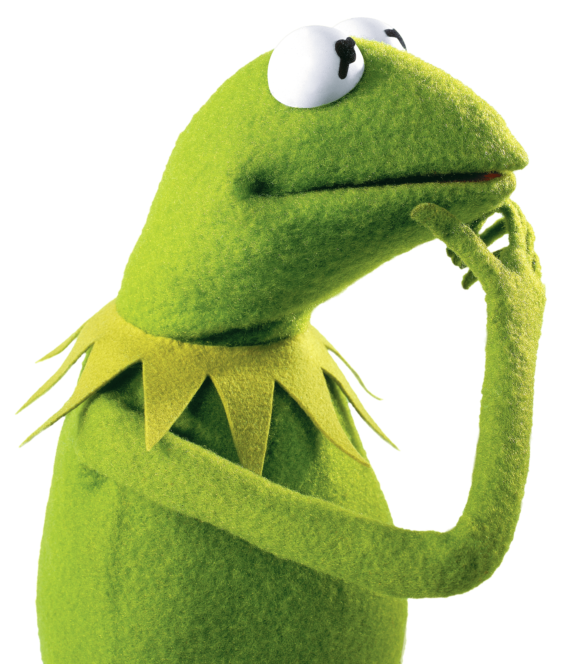 Kermit the Frog Thinking SVG Clip arts