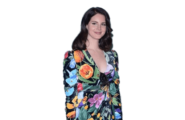 Celebrity Cutouts Lana Del Rey Pappaufsteller Mini Floral Dress