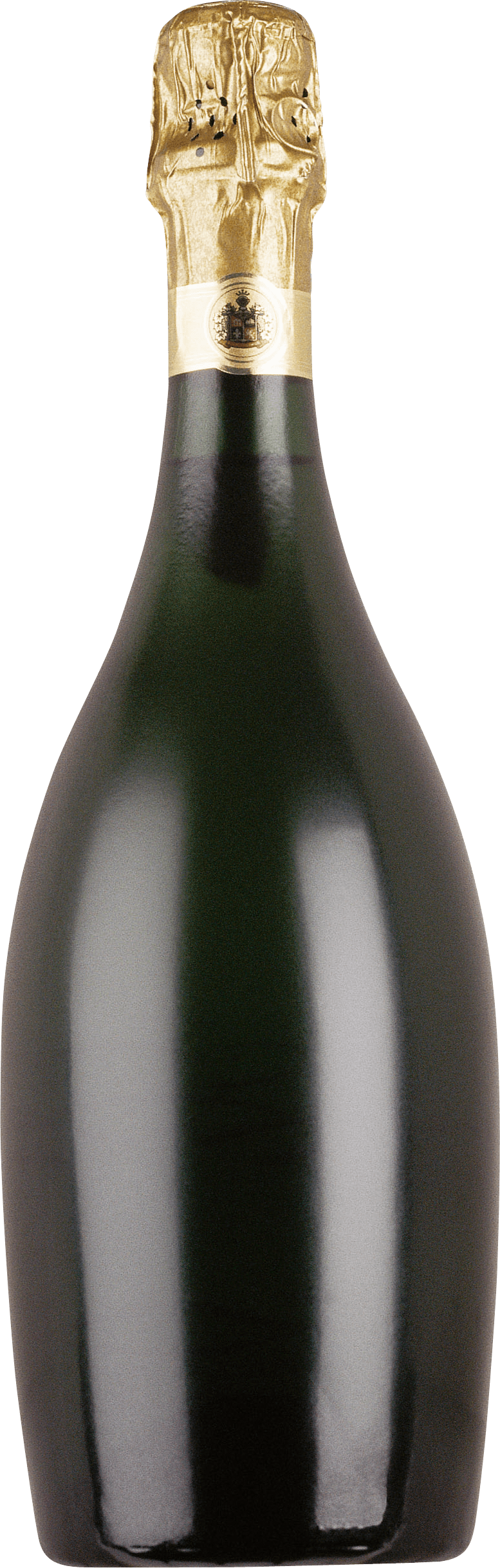 Large Champagne Bottle PNG images