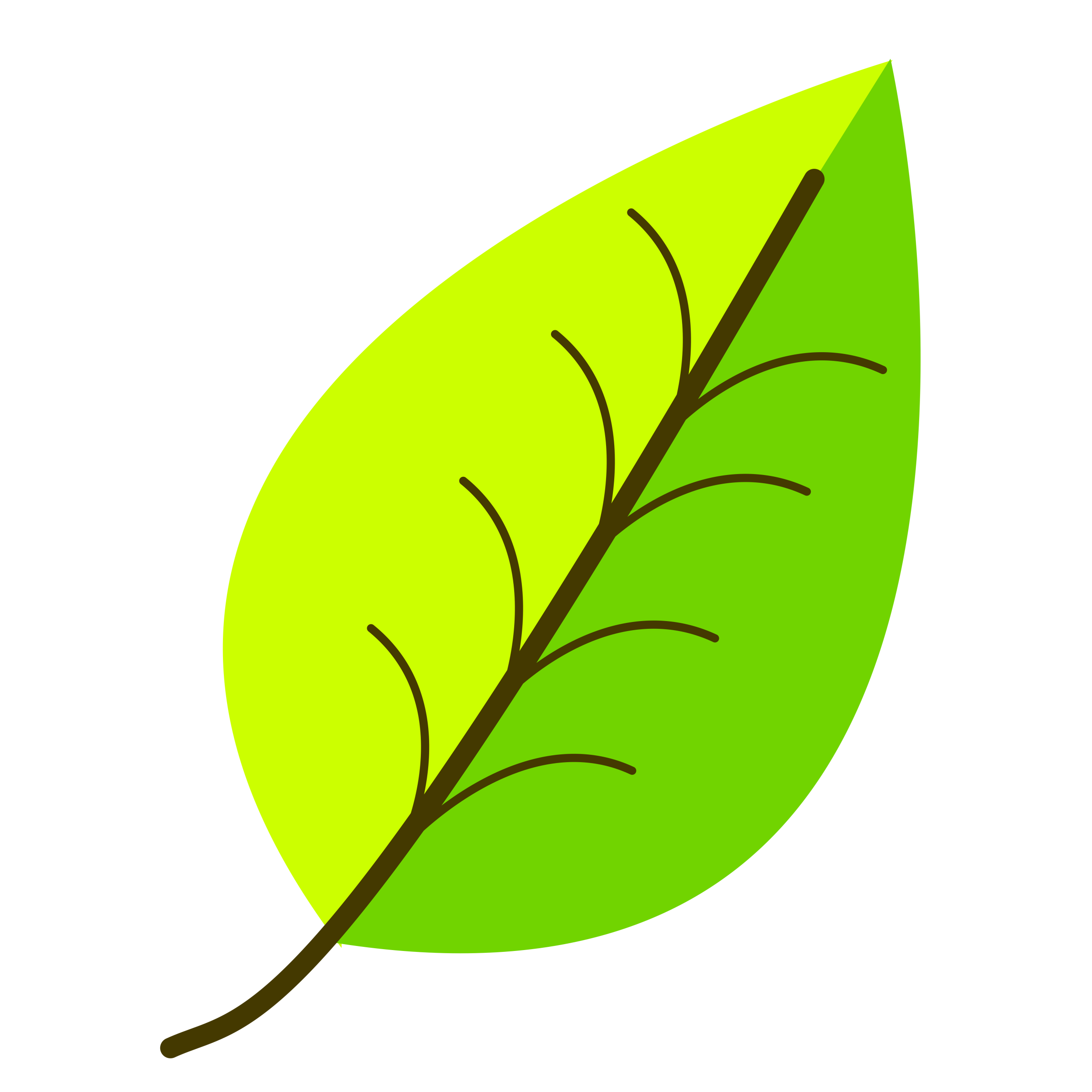 Leaf- with venation, two color. SVG Clip arts