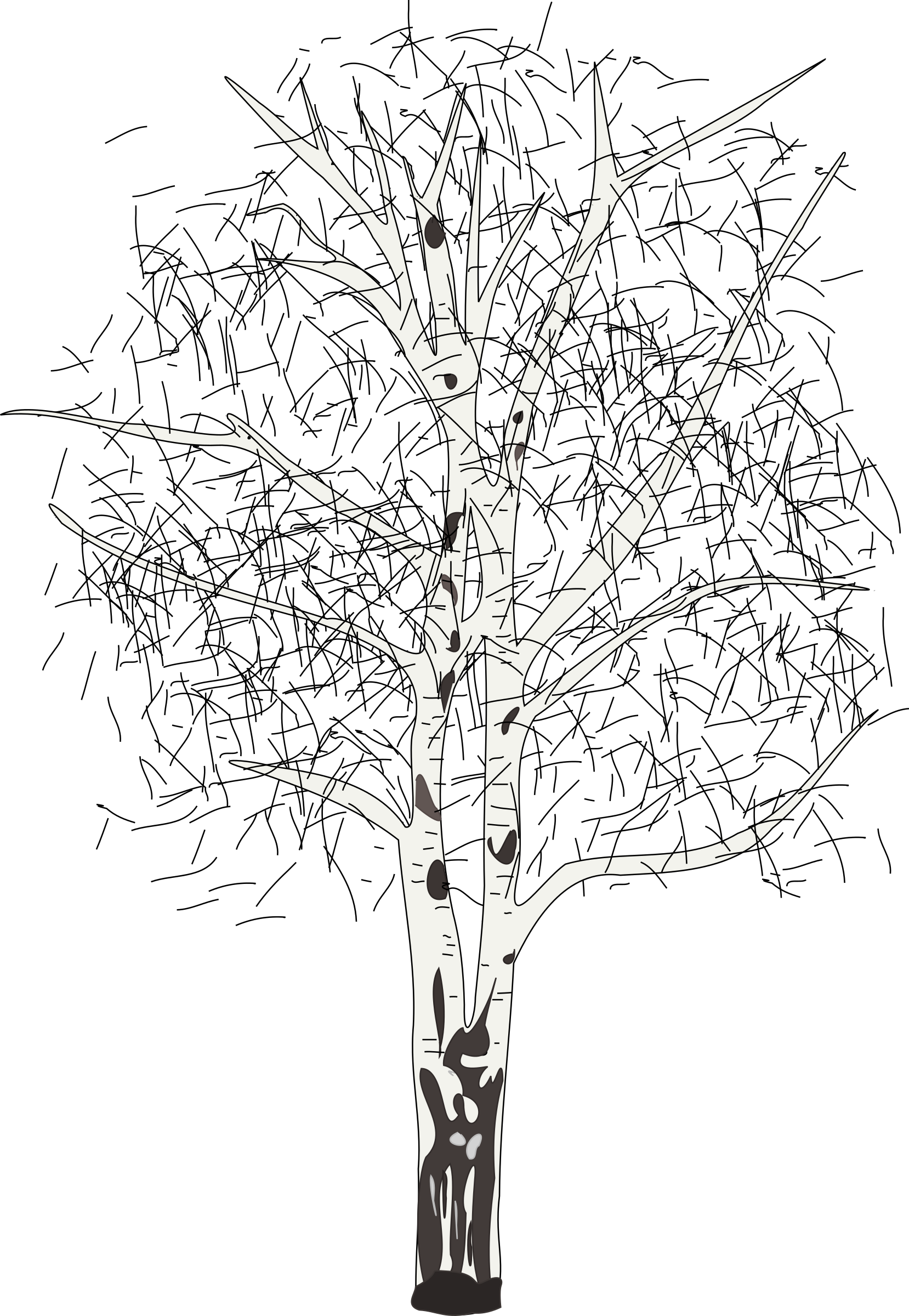 leafless birch SVG Clip arts