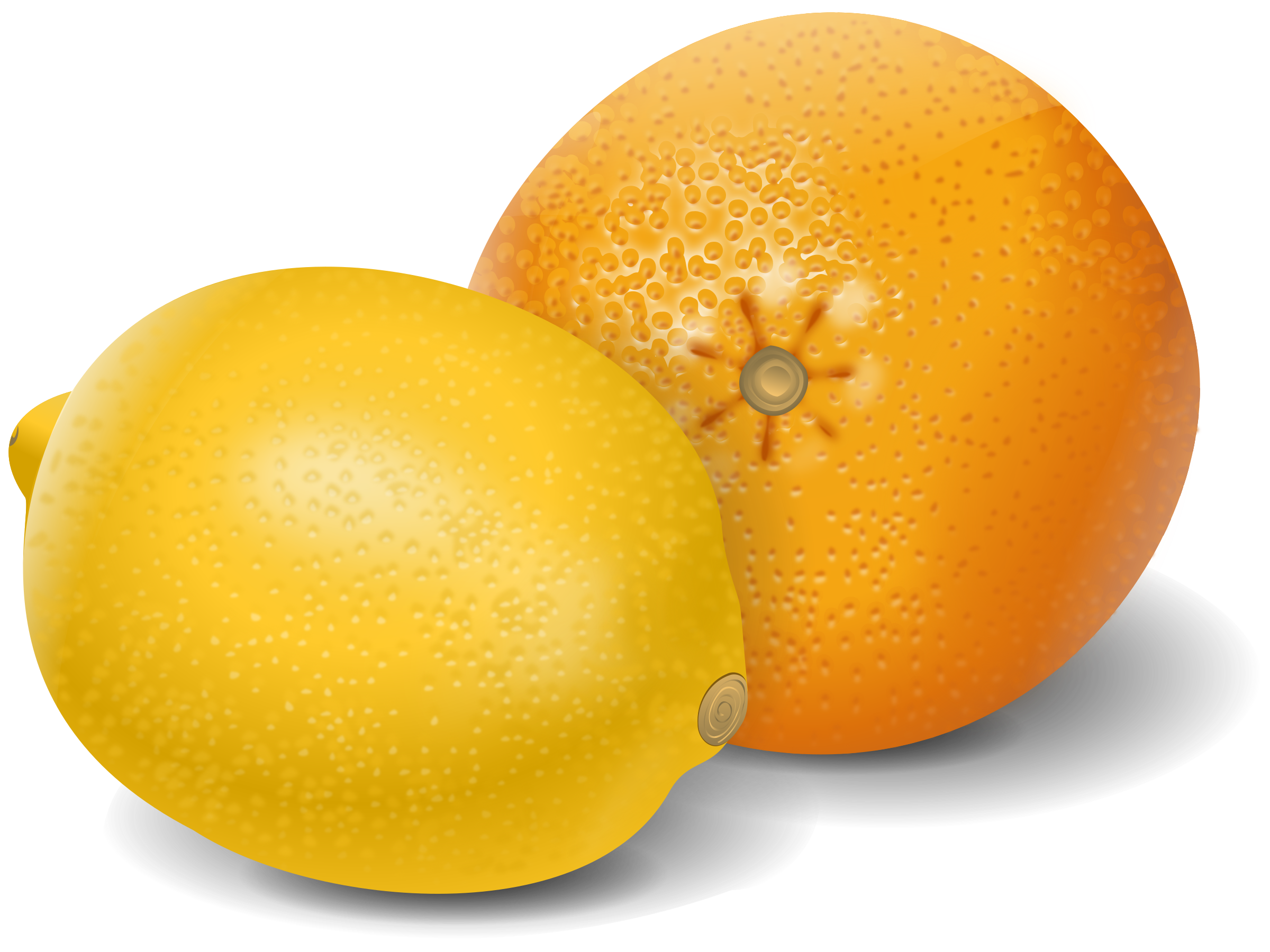 lemon orange fruits SVG Clip arts