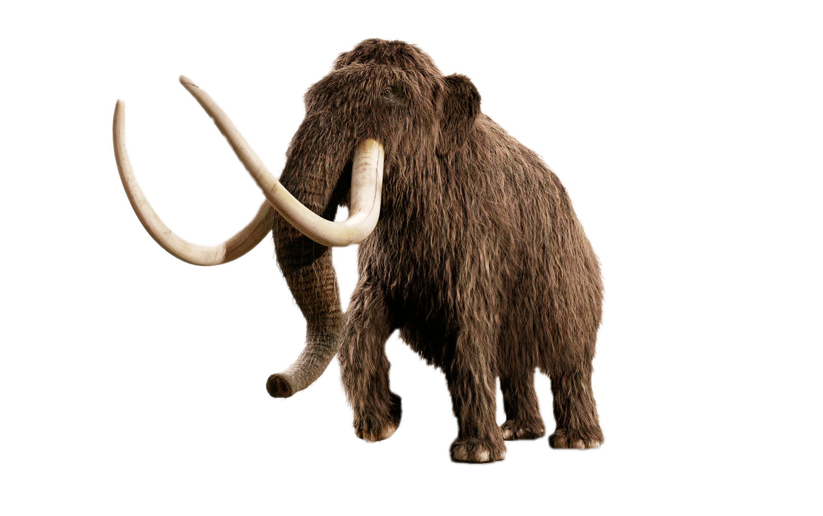 Mammoth SVG Clip arts