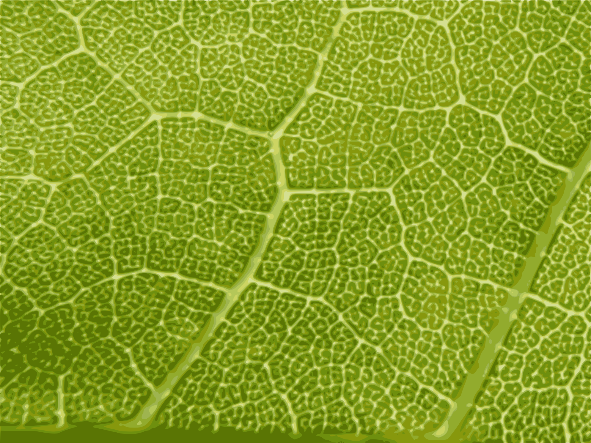 Maple Leaf Close-up - texture Clip arts