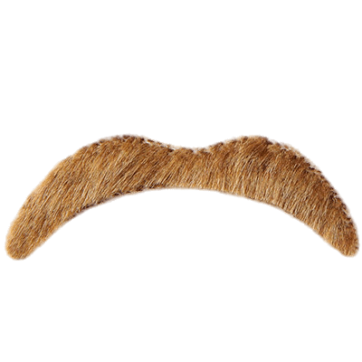 Mustache Light Brown PNG icon