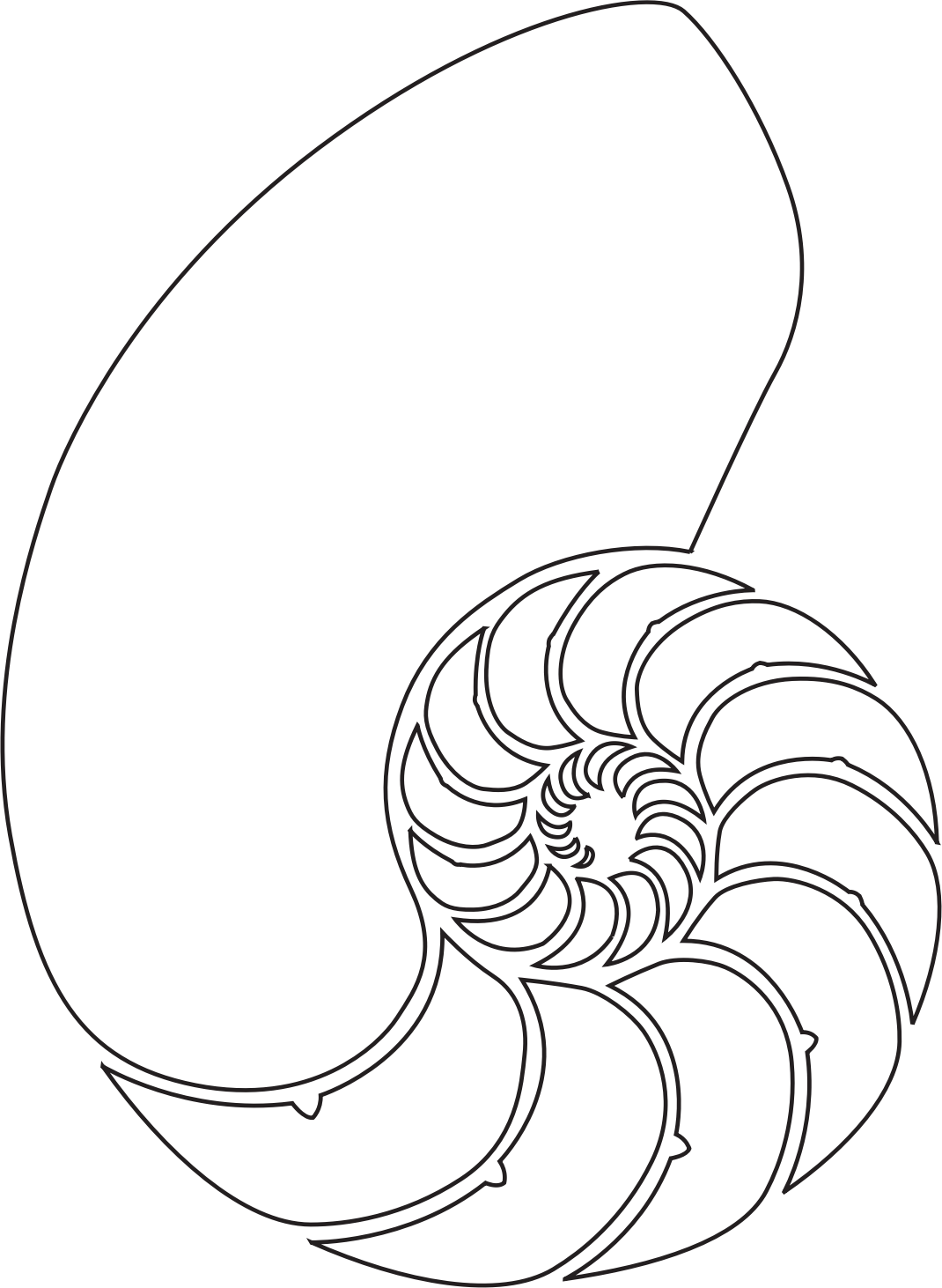 Nautilus Shell PNG icon