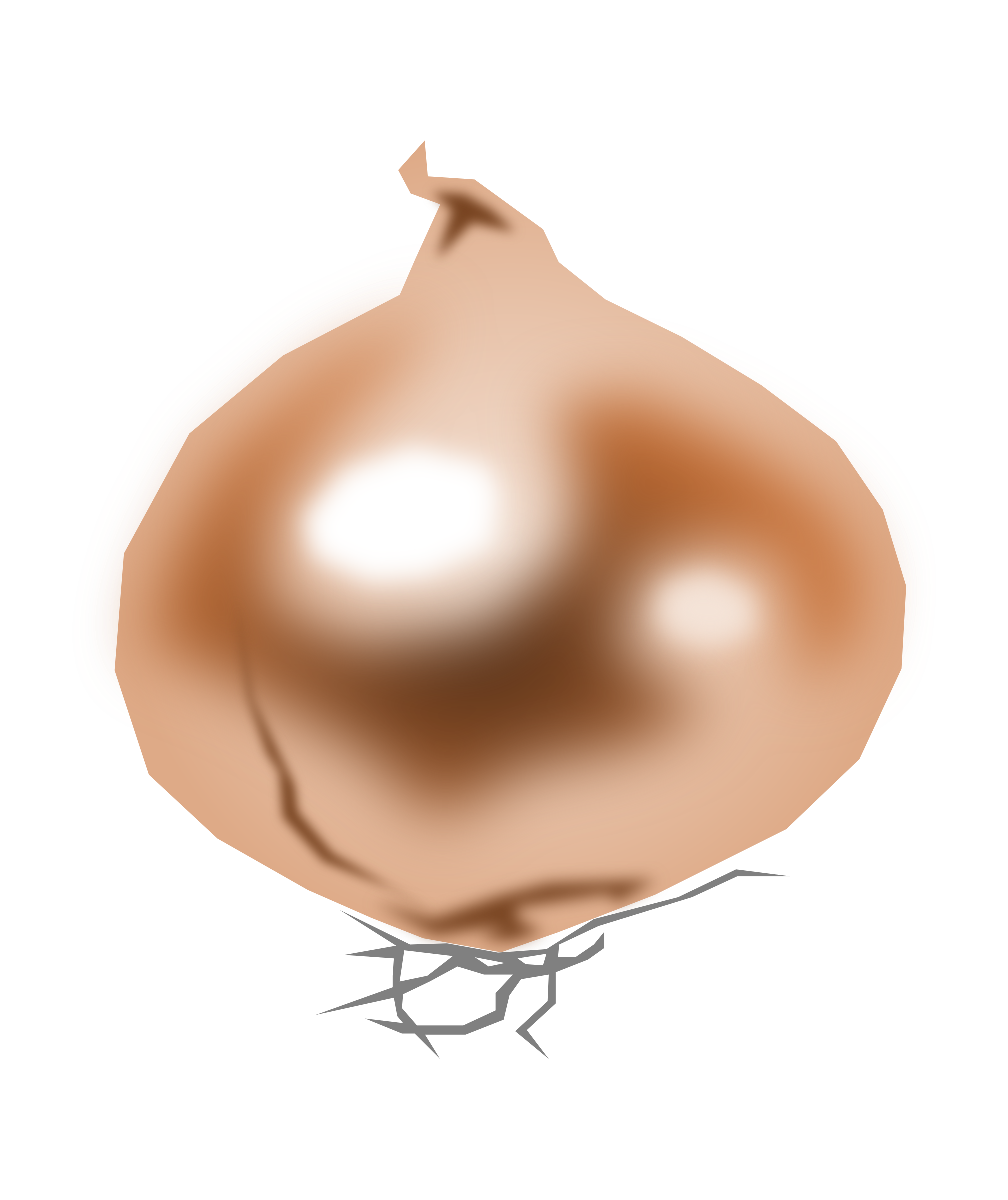 Onion-cebolla PNG icon