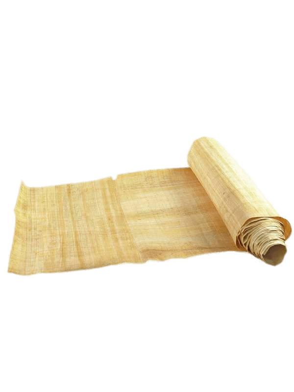 Partly Unrolled Papyrus Roll PNG icon