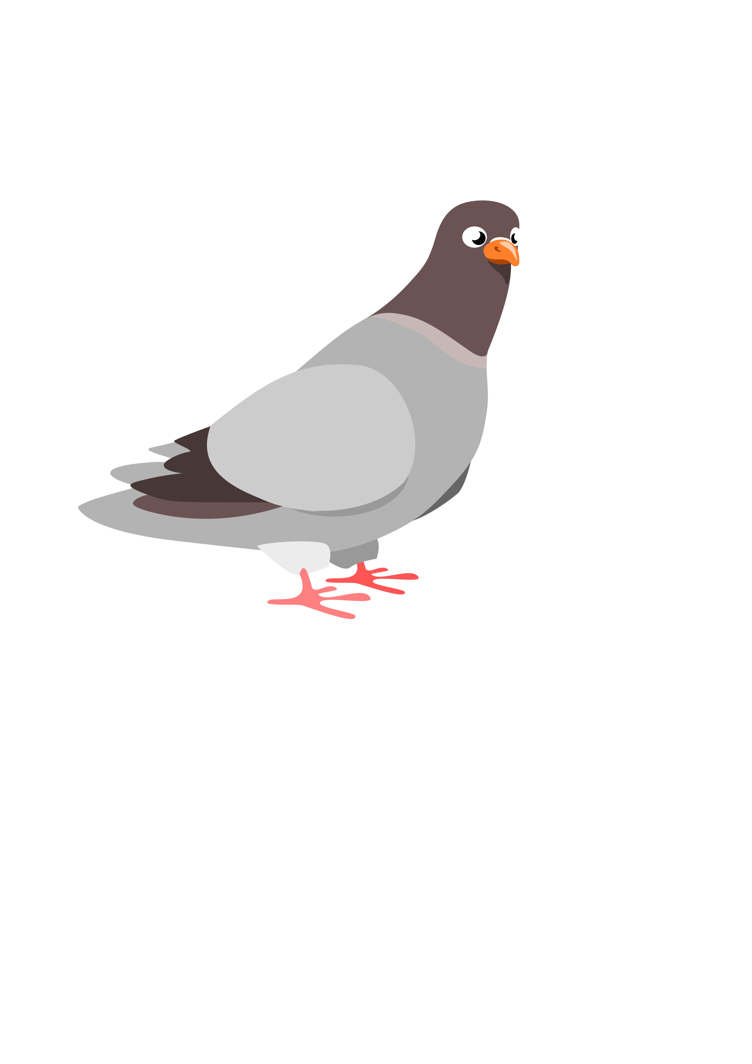 Pigeon SVG Clip arts