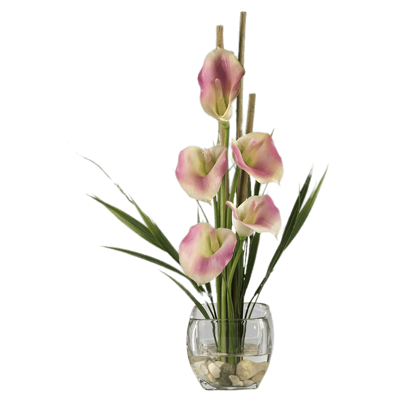 Pink Calla Lilies Composition SVG Clip arts