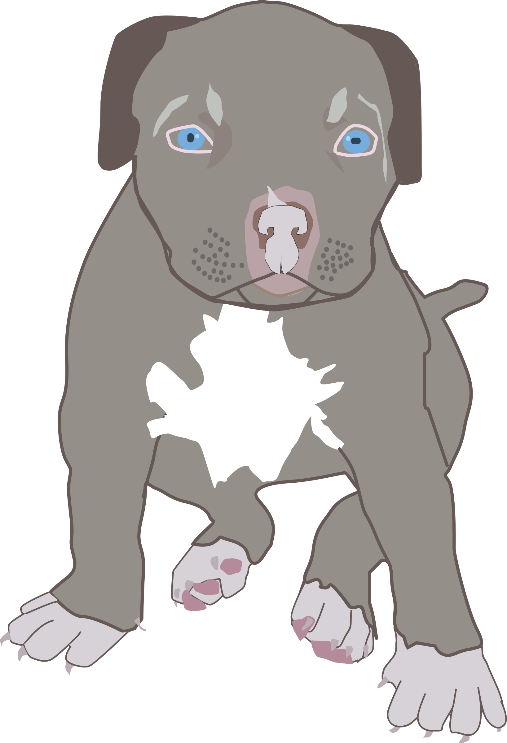 Pit Bull Puppy SVG Clip arts