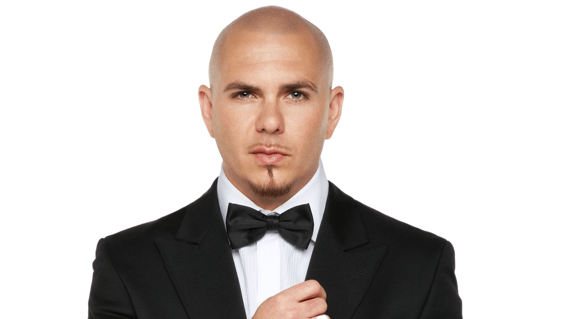 Pitbull With Bow Tie Clip arts