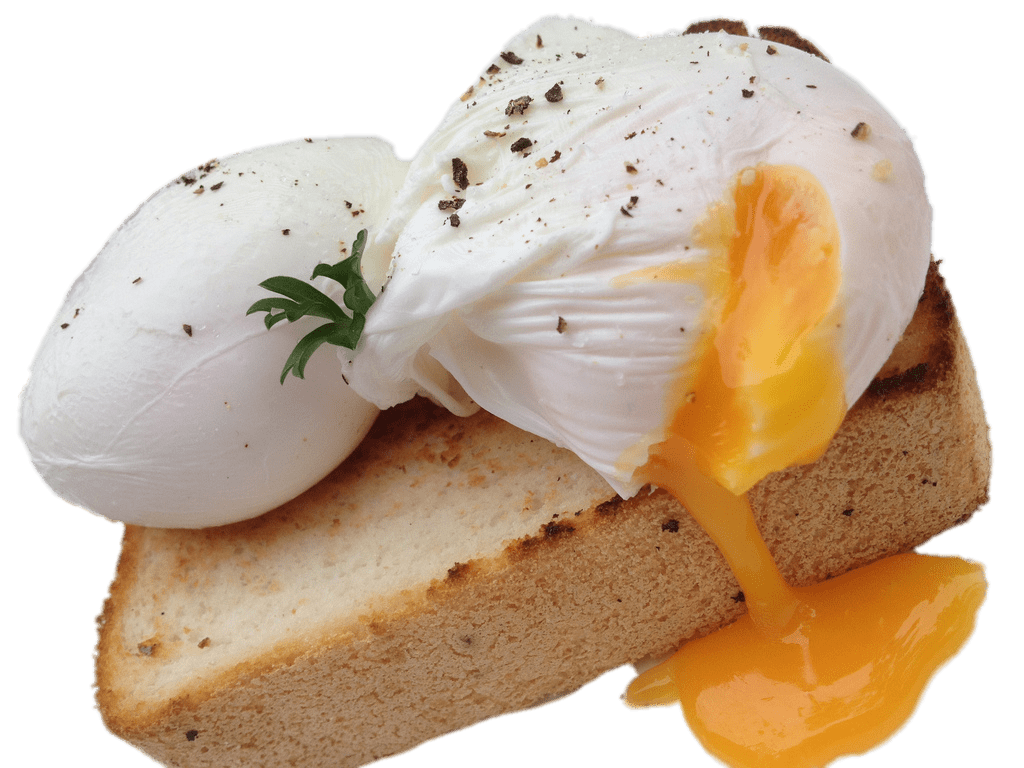 Poached Eggs on Toast Clip arts