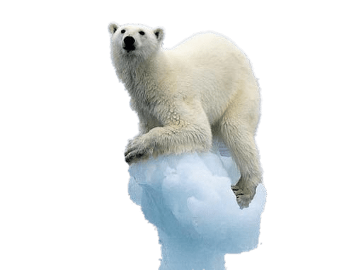 Polar Bear on Melting Iceberg Clip arts