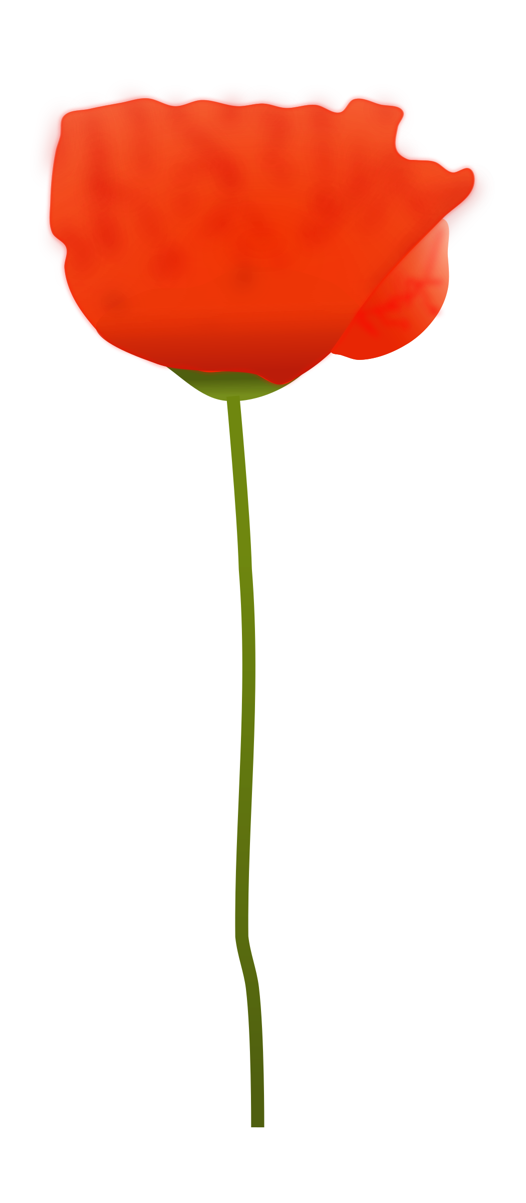 Poppy Flower Clip arts