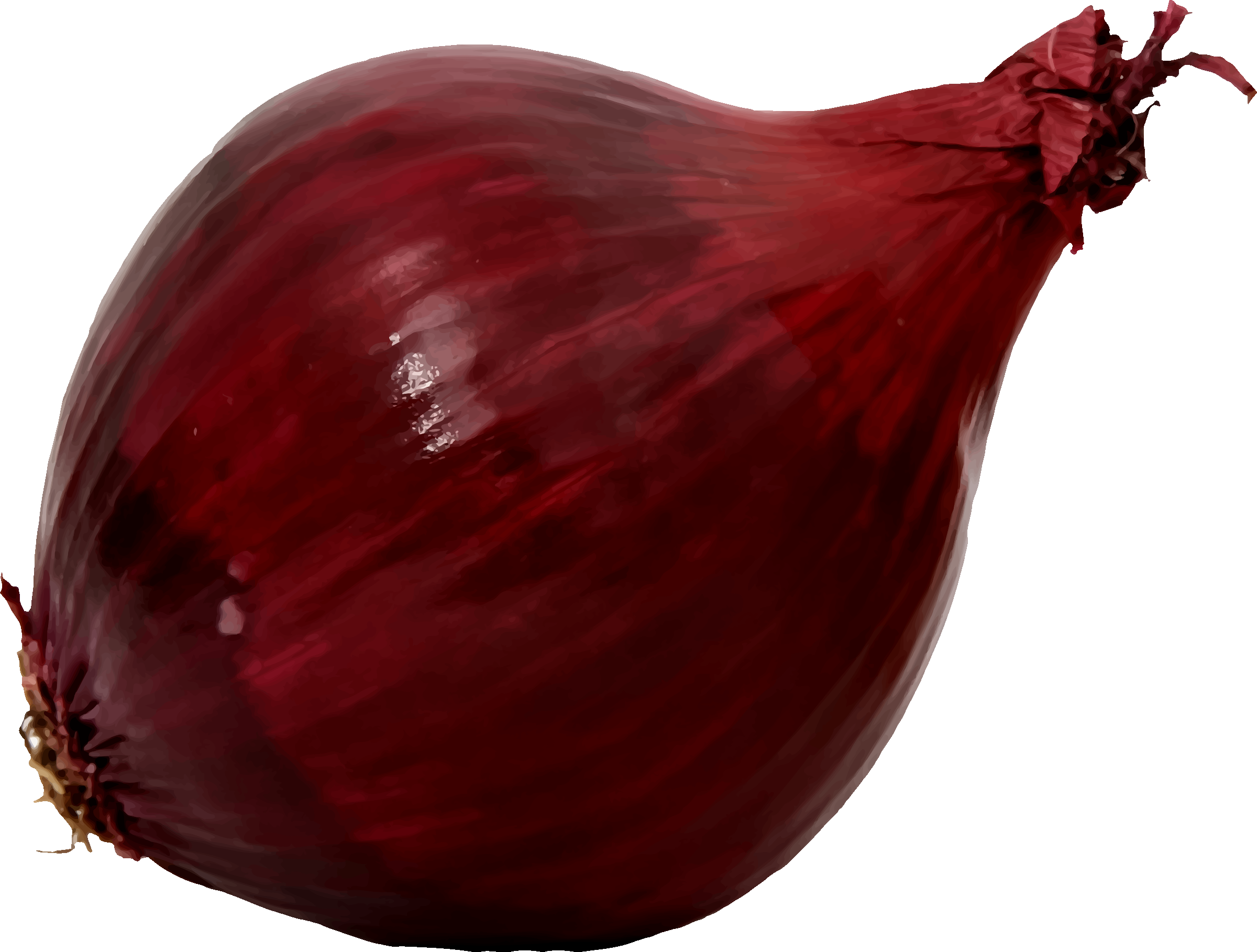Red onion PNG icon
