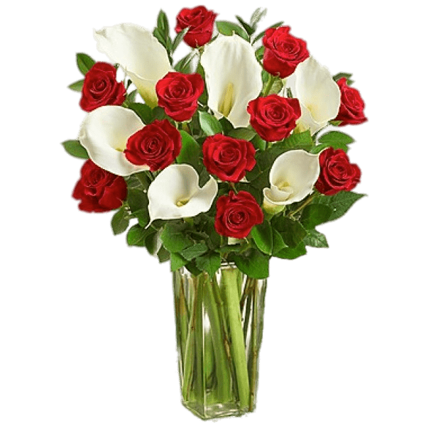 Red Roses and White Calla Lillies Bouquet PNG images