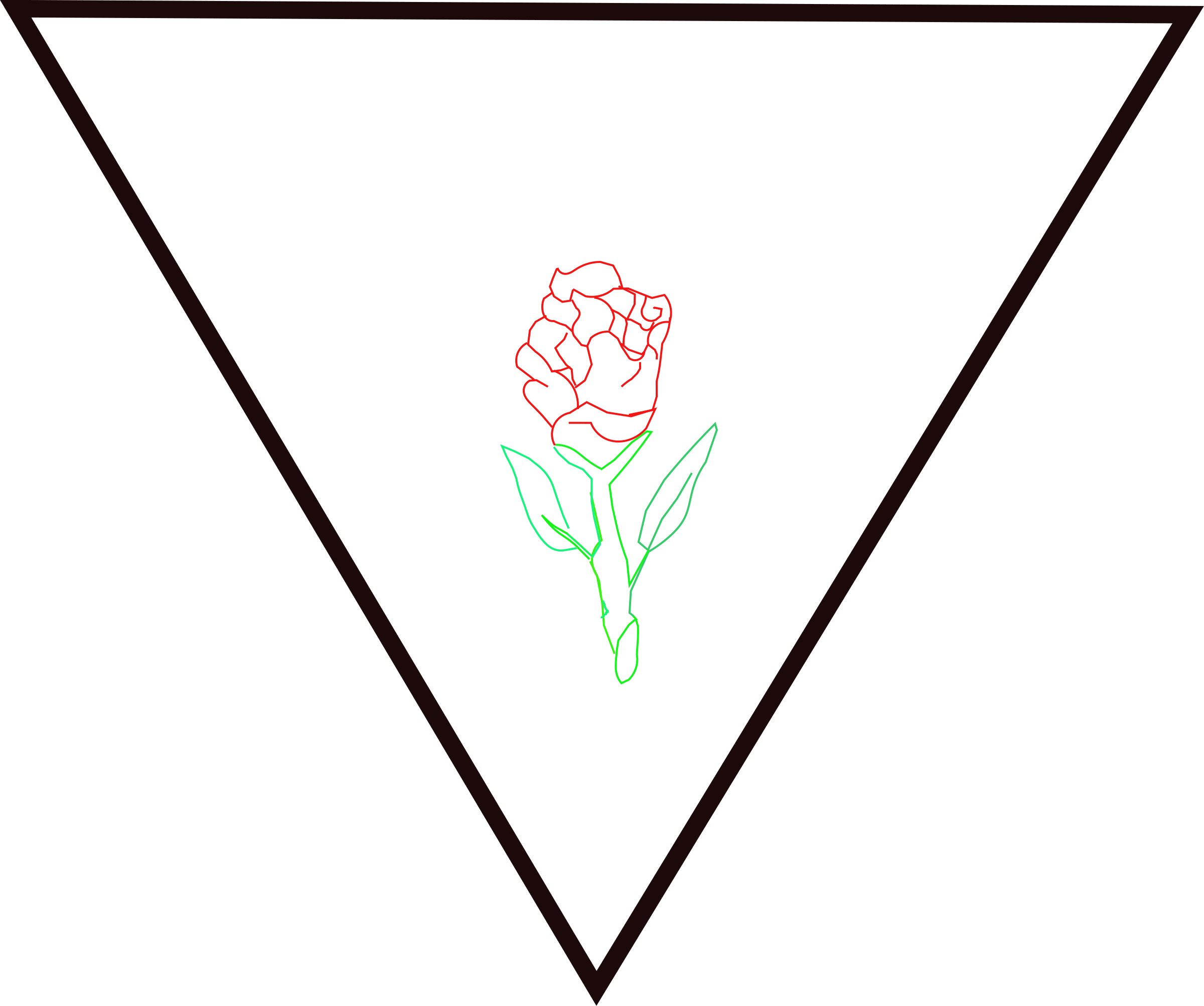 rosa y triangulo PNG icon