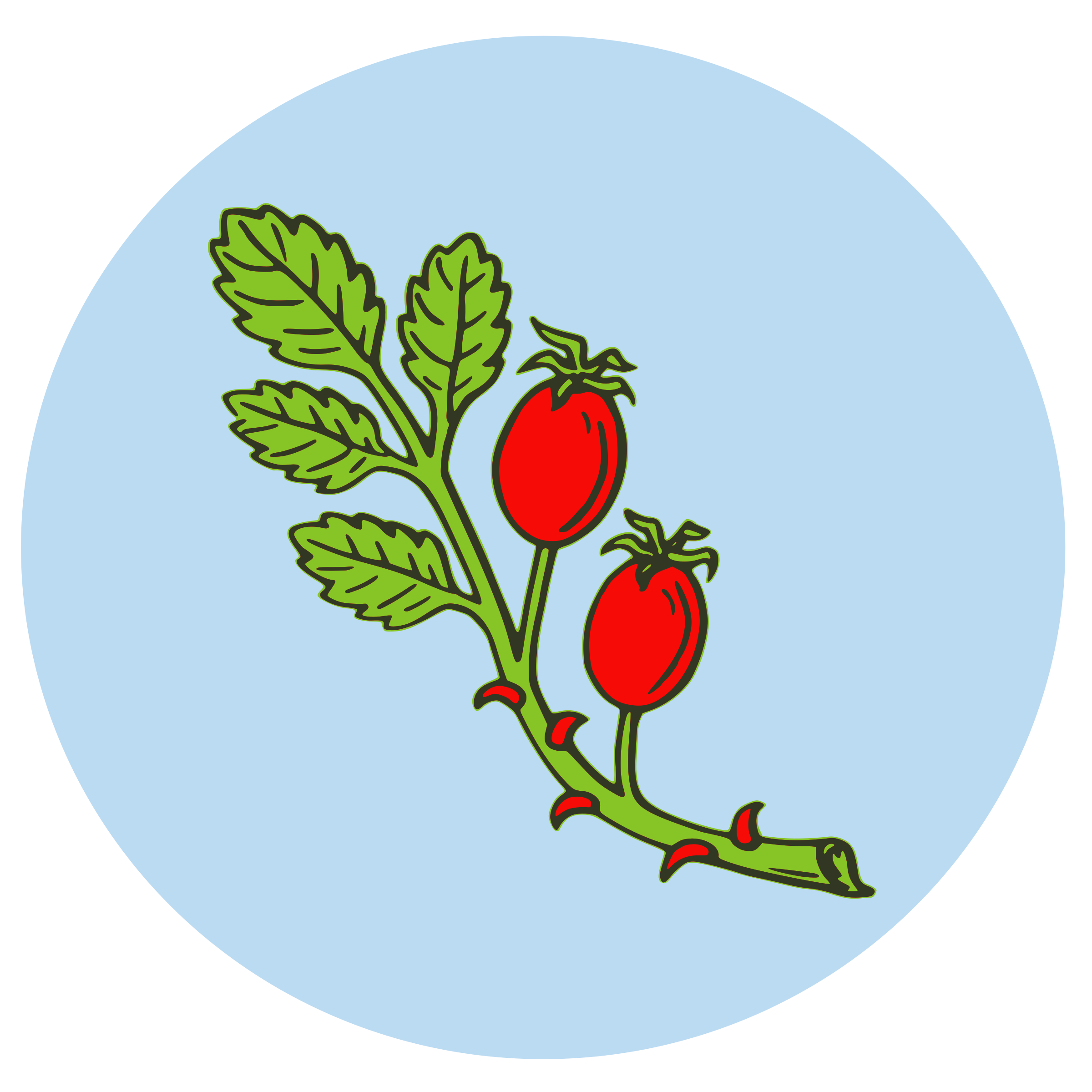 Rose Hip Fruit PNG icon