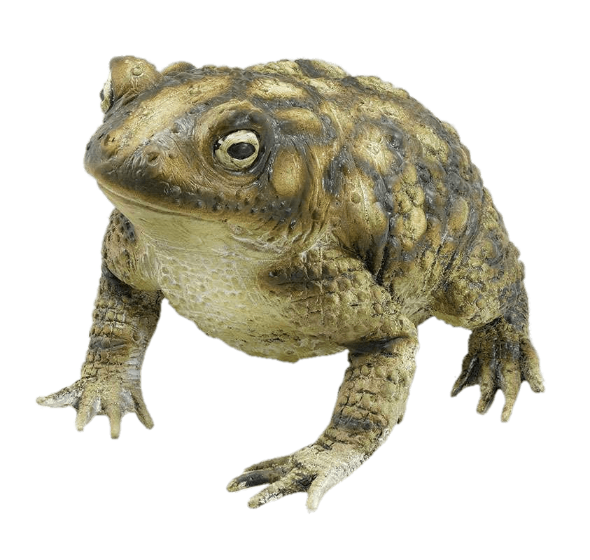Rubber Toad SVG Clip arts