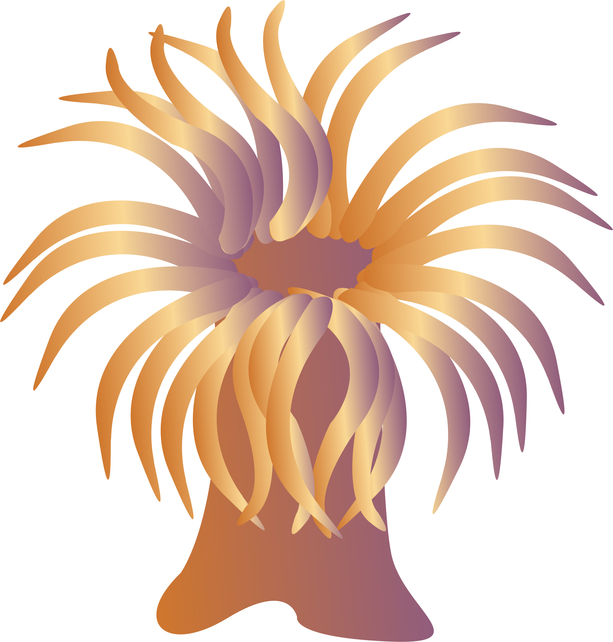 sea â€‹â€‹anemone PNG icon