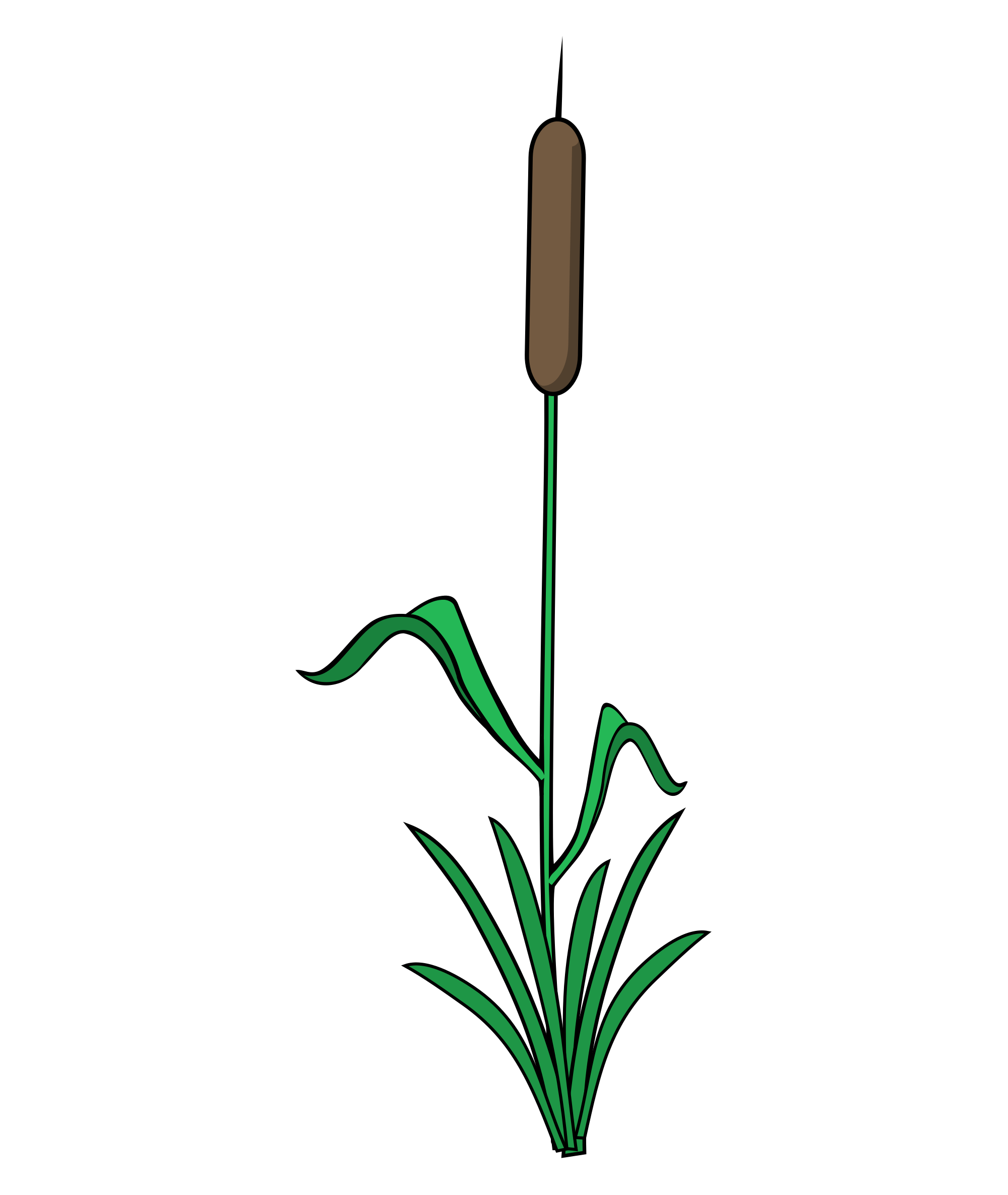Single Reed PNG icon