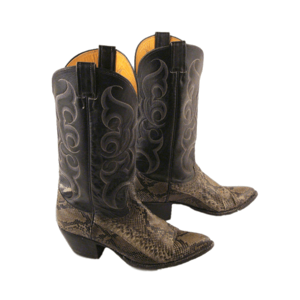 Snakeskin Cowboy Boots PNG images